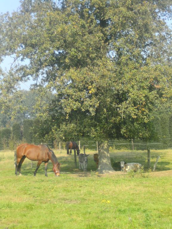 Farm Stay Luythoeve Meeuwen Exteriör bild