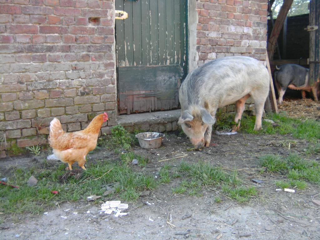 Farm Stay Luythoeve Meeuwen Exteriör bild