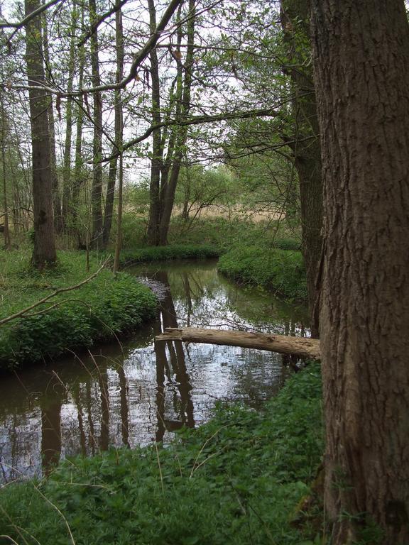 Farm Stay Luythoeve Meeuwen Exteriör bild