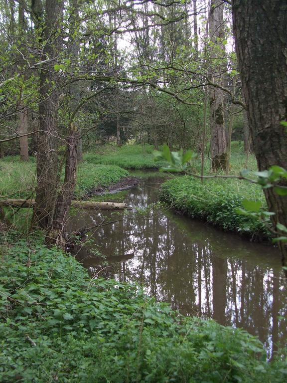 Farm Stay Luythoeve Meeuwen Exteriör bild